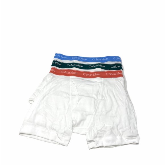 Calvin Klein Other - 💖MEGA SALE💖🍃 Calvin Klein 3 Pack Cotton  Brief White Mens  S M NB4003-934